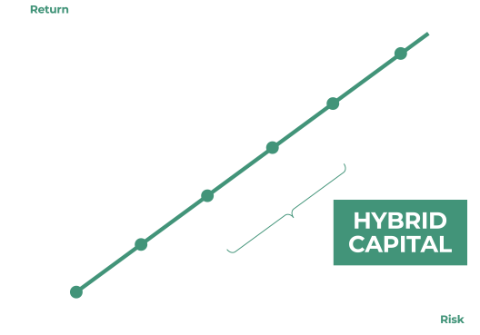 Hybrid Capital - Who we are